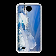 Coque HTC Desire 300 iceberg