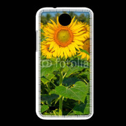 Coque HTC Desire 300 Champs de Tournesol