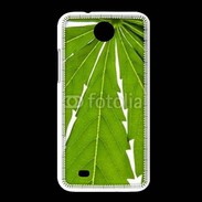 Coque HTC Desire 300 Feuille de cannabis 4