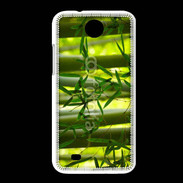 Coque HTC Desire 300 Forêt de bambou