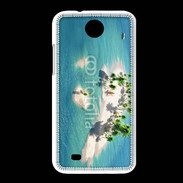 Coque HTC Desire 300 Atole