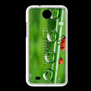 Coque HTC Desire 300 Coccinelle