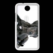 Coque HTC Desire 300 Dogue allemand noir