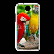 Coque HTC Desire 300 Couple de perroquets