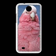 Coque HTC Desire 300 Perroquet rose
