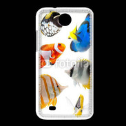 Coque HTC Desire 300 Poisson 1