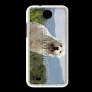 Coque HTC Desire 300 Berger des pyrennées
