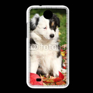 Coque HTC Desire 300 Adorable chiot Border collie