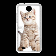 Coque HTC Desire 300 Adorable chaton 7