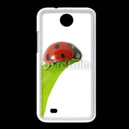 Coque HTC Desire 300 Belle coccinelle 10