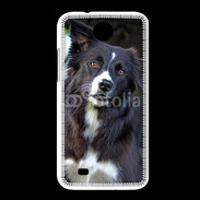 Coque HTC Desire 300 Border collie 500