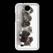 Coque HTC Desire 300 Petit chat en folie 500