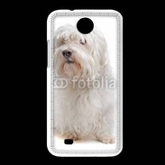 Coque HTC Desire 300 Bichon Maltais 600