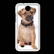 Coque HTC Desire 300 Cavalier king charles 700