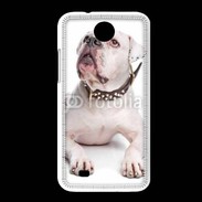 Coque HTC Desire 300 Bulldog Américain 600