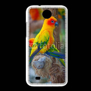 Coque HTC Desire 300 Aratinga Solstitialis