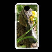 Coque HTC Desire 300 Canard sauvage PB 1