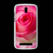 Coque HTC Desire 500 Belle rose 3