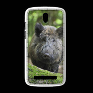 Coque HTC Desire 500 Sanglier dans les bois
