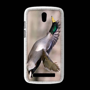 Coque HTC Desire 500 Canard Colvert 2