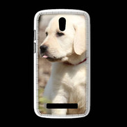 Coque HTC Desire 500 Adorable labrador