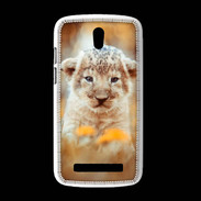 Coque HTC Desire 500 Lionceau d'Afrique