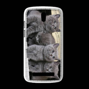 Coque HTC Desire 500 Chatons musiciens