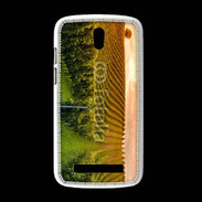 Coque HTC Desire 500 Viticulture en automne
