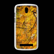 Coque HTC Desire 500 Arbres en automne