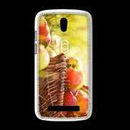 Coque HTC Desire 500 Panier de pommes