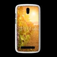 Coque HTC Desire 500 Automne, vignes, couché de soleil