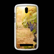 Coque HTC Desire 500 vignes automne