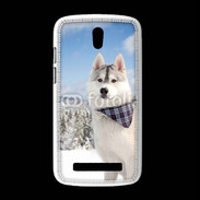 Coque HTC Desire 500 Husky hiver 2