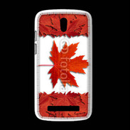 Coque HTC Desire 500 Canada en feuilles