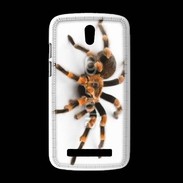 Coque HTC Desire 500 Araignée tarentule