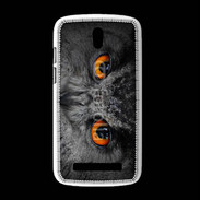 Coque HTC Desire 500 Yeux chouette