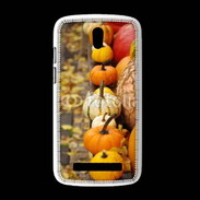 Coque HTC Desire 500 Citrouilles