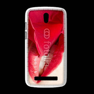Coque HTC Desire 500 Rose et bouche
