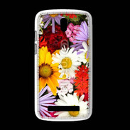 Coque HTC Desire 500 Belles fleurs