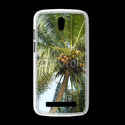 Coque HTC Desire 500 Cocotier