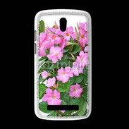 Coque HTC Desire 500 Fleurs Dipladénia