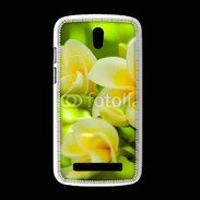 Coque HTC Desire 500 Fleurs Frangipane