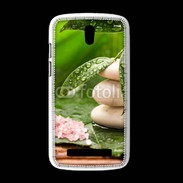 Coque HTC Desire 500 Galet et feuilles mouillées