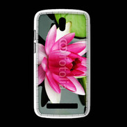 Coque HTC Desire 500 Fleur de nénuphar