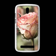 Coque HTC Desire 500 Belle rose 50