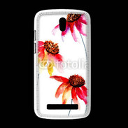 Coque HTC Desire 500 Belles fleurs en peinture