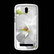 Coque HTC Desire 500 orchidée