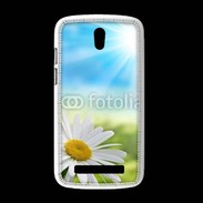Coque HTC Desire 500 marguerite