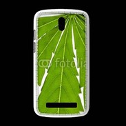 Coque HTC Desire 500 Feuille de cannabis 4