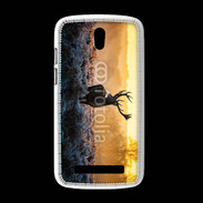 Coque HTC Desire 500 Cerf dans la nature